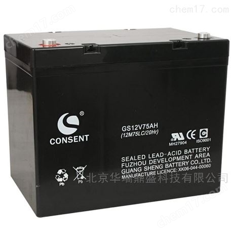光盛CONSENT蓄電池GS12V20AH 手動(dòng)控制設(shè)備