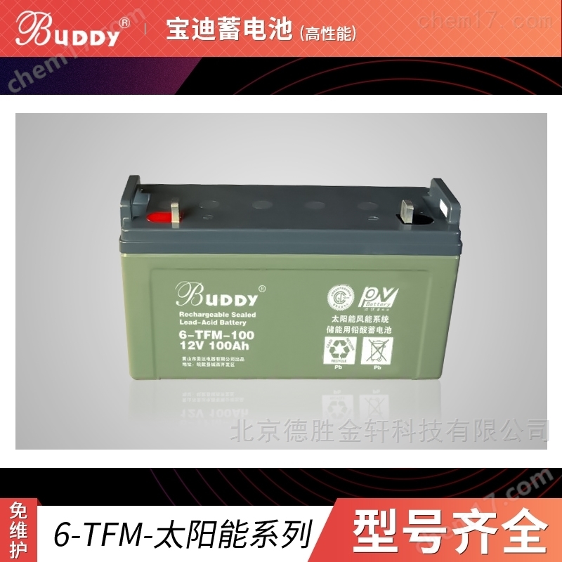 宝迪蓄电池6-TFM-200免维护UPS不间断电源